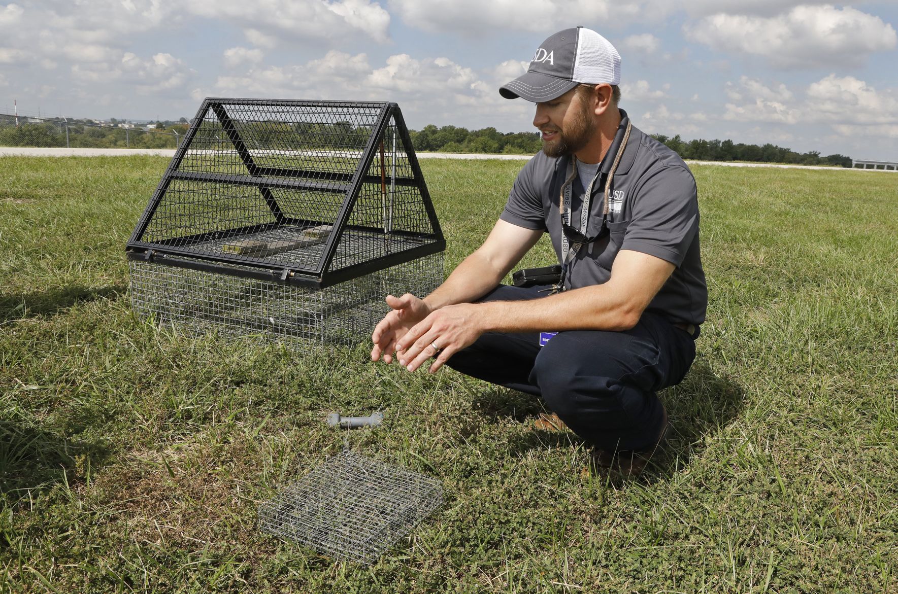 Keeping airplanes safe from birds is a full-time job